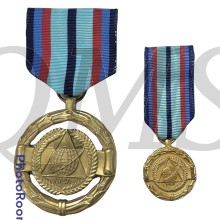 NASA Exceptional Achievement Medal (EAM) en miniatuur