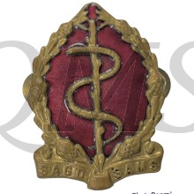 Badge Medical Services South Africa pre 1983