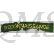 Reconnaissance Insigne