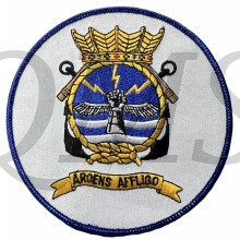 Borst of Blazer Badge Squadron 860  