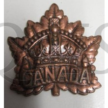 The Royal Canadian Regiment