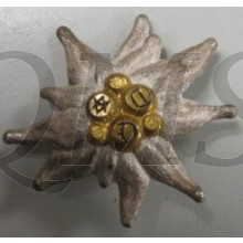 Edelweiss Austrian Gebirgs truppen 