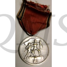 Austrian occupation medal (Medaille zur Erinnerung an den 13 März 1938).