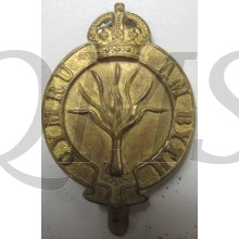 HAT BADGE Welsh Guards Regiment
