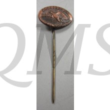 DLRG Grundschein Pin Abzeichen