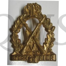 south africa army badge sterk en fier