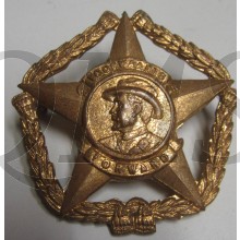 South African Voorwaarts/Forward cap badge