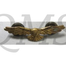 RAF officers dress cao badge