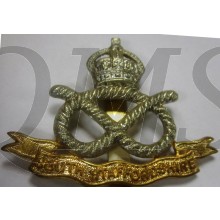 cap badge south staffordshire regiment