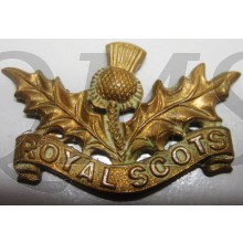WW1 The Royal Scots Collar Dog