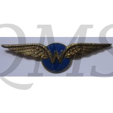 WW2 Waarnemers wing (World War II Royal Dutch Airforce observers  wing)