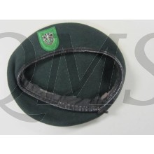 Groene baret 10th Special Forces Group  (Abn) 