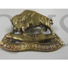 The 12th Manitoba Dragoons 