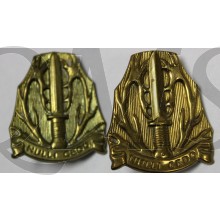 Schouder emblemen Stoottroepen