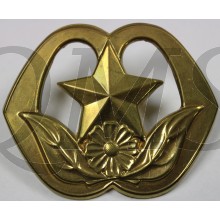 Baret embleem Humanistisch Raadsman