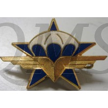 Badge 1er RCP 