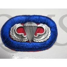 Airborne Oval 501th Infantry Regiment 101th Airborne Division with wing
