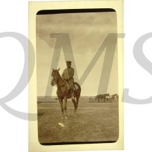 Photo 1917 Kavaleristen mit Pferd im Felde 