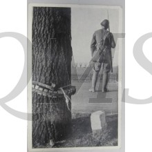 Prent briefkaart mobilisatie 1939 Genist bewaakt boom