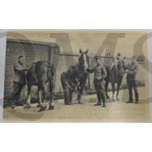 Prent briefkaart mobilisatie 1939 Paard Kameraad