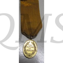 De Medaille voor IJver en Trouw werd op 14 februari 1877 door koning Willem III der Nederlanden bij Koninklijk Besluit ingesteld. Er waren in 1877 al meerdere medailles ter beloning van een langdurig dienstverband als militair bij de krijgsmacht maar voor