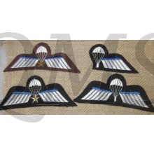 Para wings Ned leger (Jump wings Dutch Army)