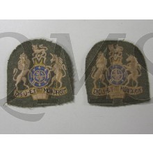 Badges of a warrant officer class one