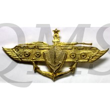 Indonesia Qualifcation badge amphibious 