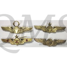 Indonesia airforce para 4 wings 