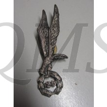 Polish paratrooper 25 qualification badge