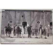 Foto huzaren in stalkleding verzorging paarden