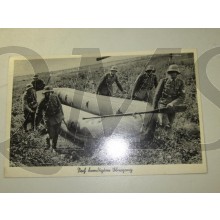 AnsichtsKarte (Mil. Postcard) Lily Marleen