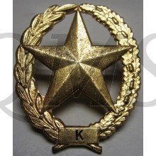 Brevet KARABIJN Nederlands leger - PM - Dutch carbine sharpshooter badge