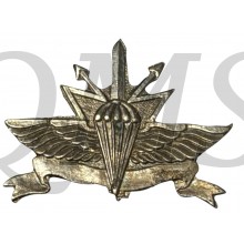 35th Paratroopers infantry brigade Teleprocessing Company