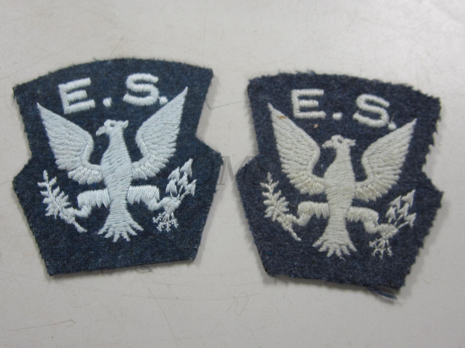 Shoulder patches Eagle 121 Squadron