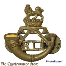 Collar badge Rand Light Infantry South Africa