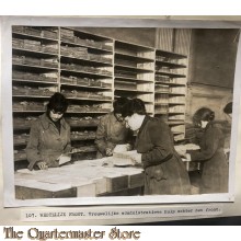 Press photo , WW1 Western front, female administrative Auxiliaries working behind front lines