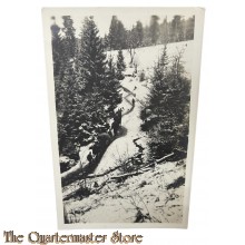 (Photo) Postkarte 1916 Osterreich infanterie in die Berge