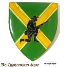 Badge Danie Theron Combat School South Africa