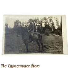 Postkarte 1914-18 Studio photo Soldat auf Pferd