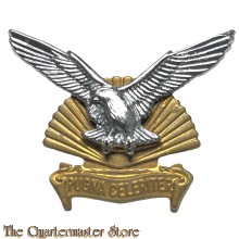 Badge Durban (King Shaka) Regiment South Africa 1964-66