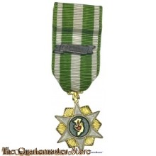 Republic of Vietnam Campaign Medal  miniature
