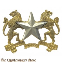 Badge Regiment Molopo South Africa 