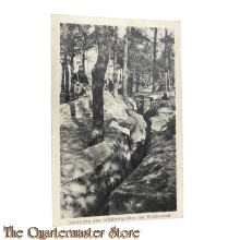 Feld Postkarte 1914-18  Auswerfen von Schutzengraben am Waldesrand