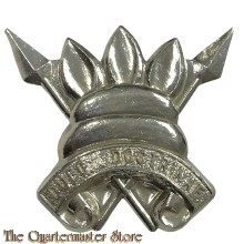 Badge 3rd Battalion South African Defence Force 