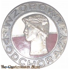 Poland - breast badge silver grade ¨Exemplary Cadet ¨ model 1973