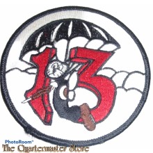 Badge 513th Parachute Infantry Regiment 