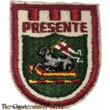 Beret flash HQ Puerto Rico National Guard 