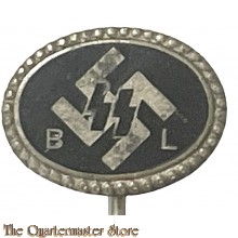 SS mannelijk Begunstigd Lid Aufschlagnadel/revers speld (Dutch SS sponsoring male members lapel pin)