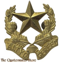 Badge Regiment Botha na 1962